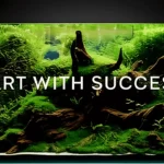 A beautiful low-tech planted aquarium ideal for beginners, showing lush green plants on driftwood. A text overlay reads: "Start with Success