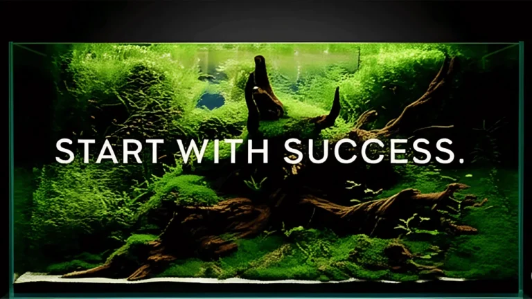A beautiful low-tech planted aquarium ideal for beginners, showing lush green plants on driftwood. A text overlay reads: "Start with Success