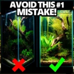 A perfect beginner low-tech aquarium, a 20-gallon long tank, with the text "Your Foundation for Success" overlaid.