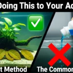 How to Lower Aquarium pH Naturally (A Safe, Beginner's Guide)